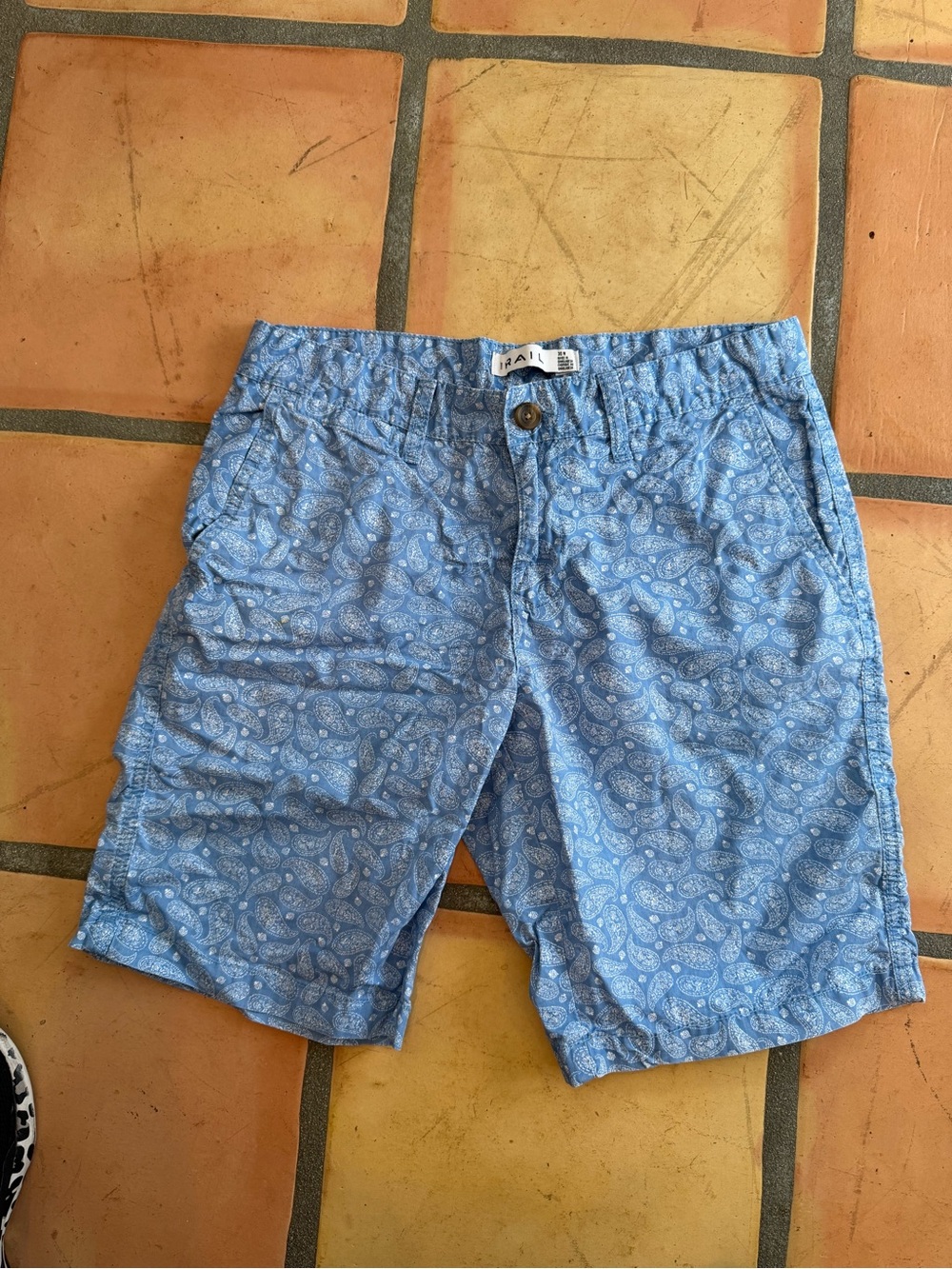 The Rail Light Blue Paisley Flat Front Men's Shorts